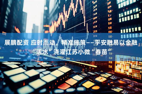 展鵬配资 应时而动，精准施策——平安融易以金融“活水”浇灌江苏小微“春苗”