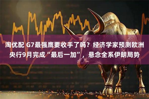淘优配 G7最强鹰要收手了吗？经济学家预测欧洲央行9月完成“最后一加”，悬念全系伊朗局势
